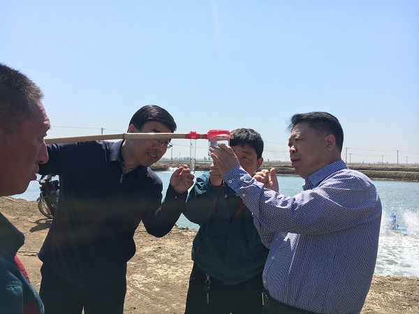 �齫������