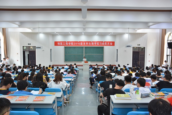 �齫������