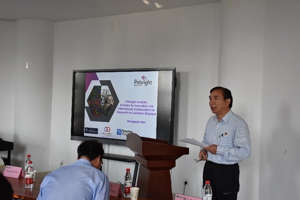 �齫������