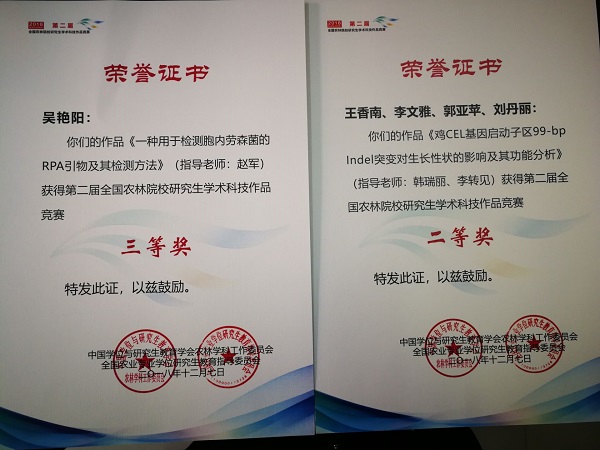 �齫������