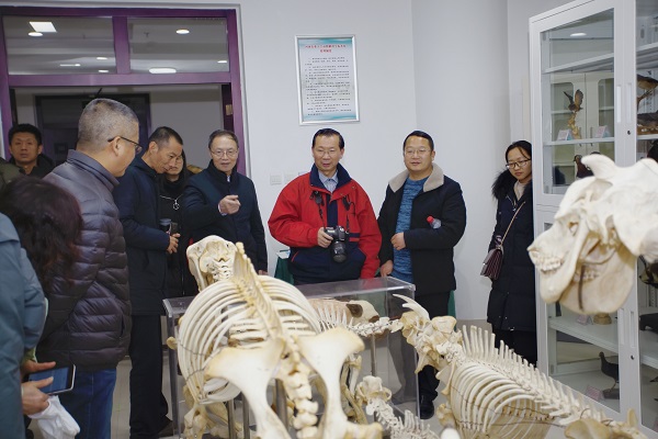 �齫������