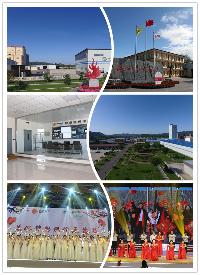 �齫������