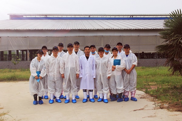 �齫������